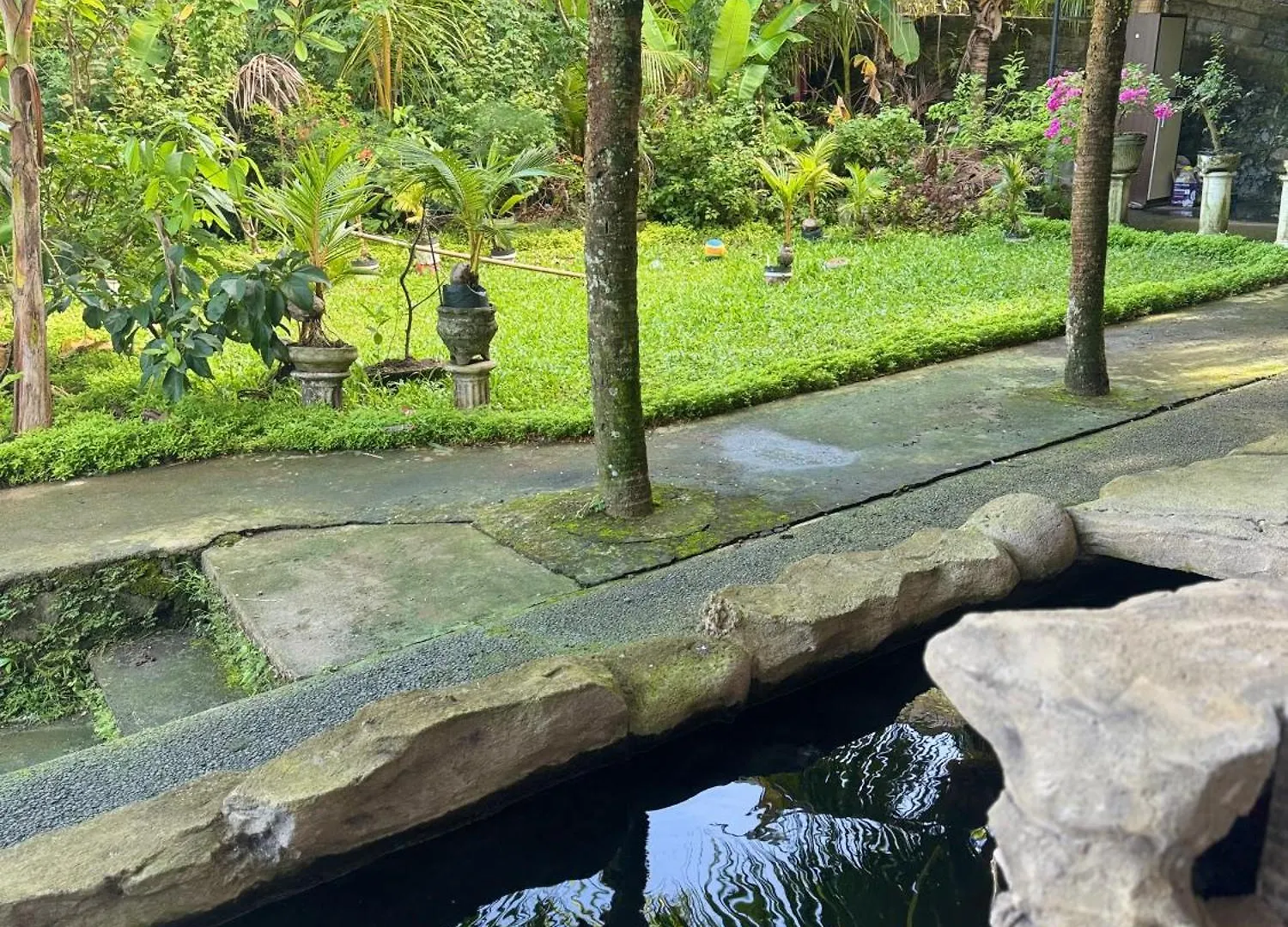 Guest house Pineapple House Hotel Ubud